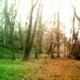 Аватар для DeepFocus8