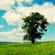 Аватар для AmidYawn7