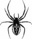 Аватар для SpiderFredi