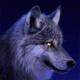 Аватар для WolfAndR